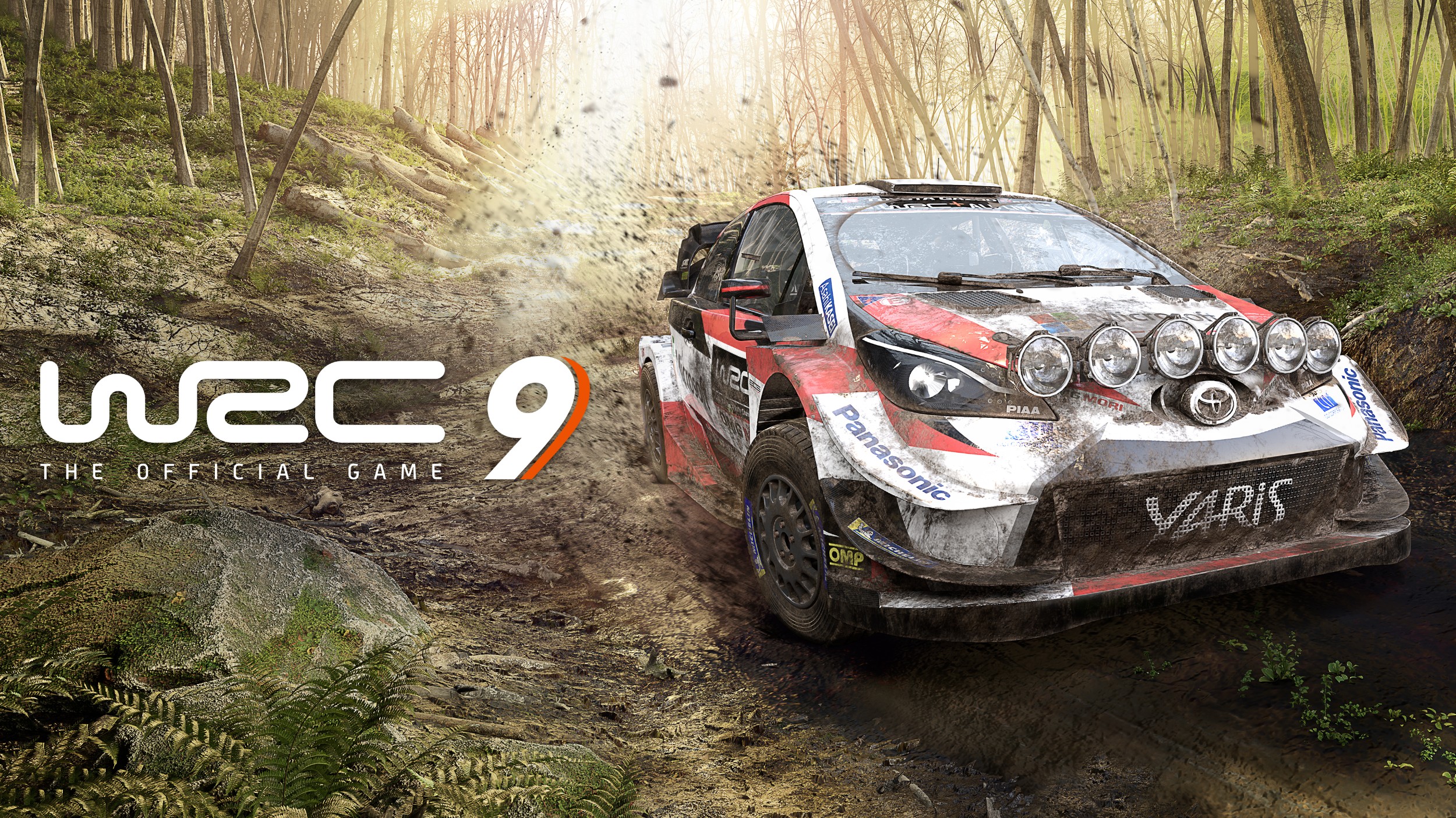 WRC 9 DÉBARQUE SUR NINTENDO SWITCH!